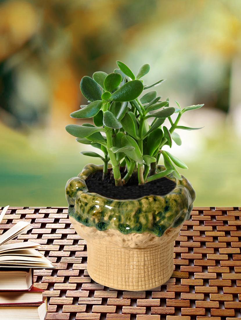 unravel india tree ambose ceramic table top planter - 15671377 - Zoom Image - 0