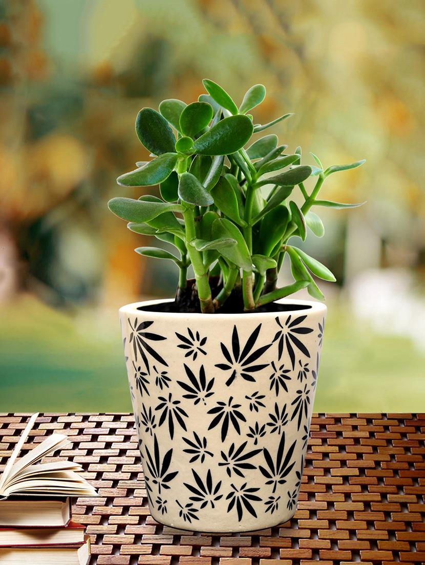 unravel india handcrafted floral off-white ceramic planter pot - 15671378 -  Zoom Image - 0