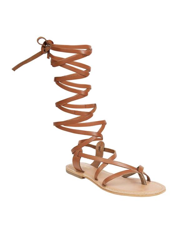 brown gladiator