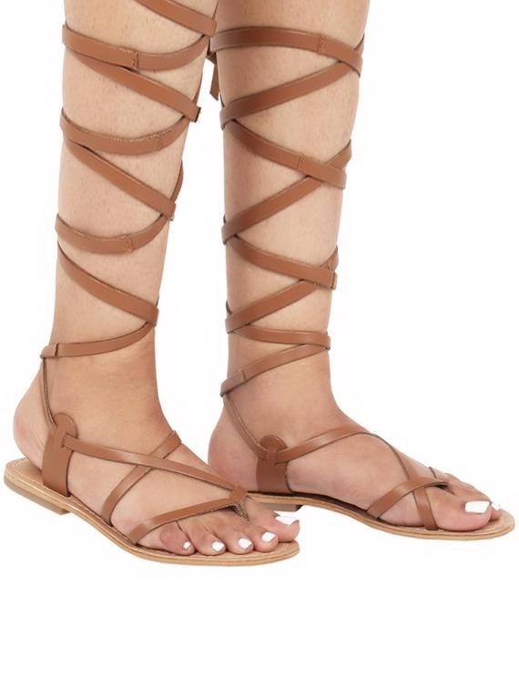 brown gladiator