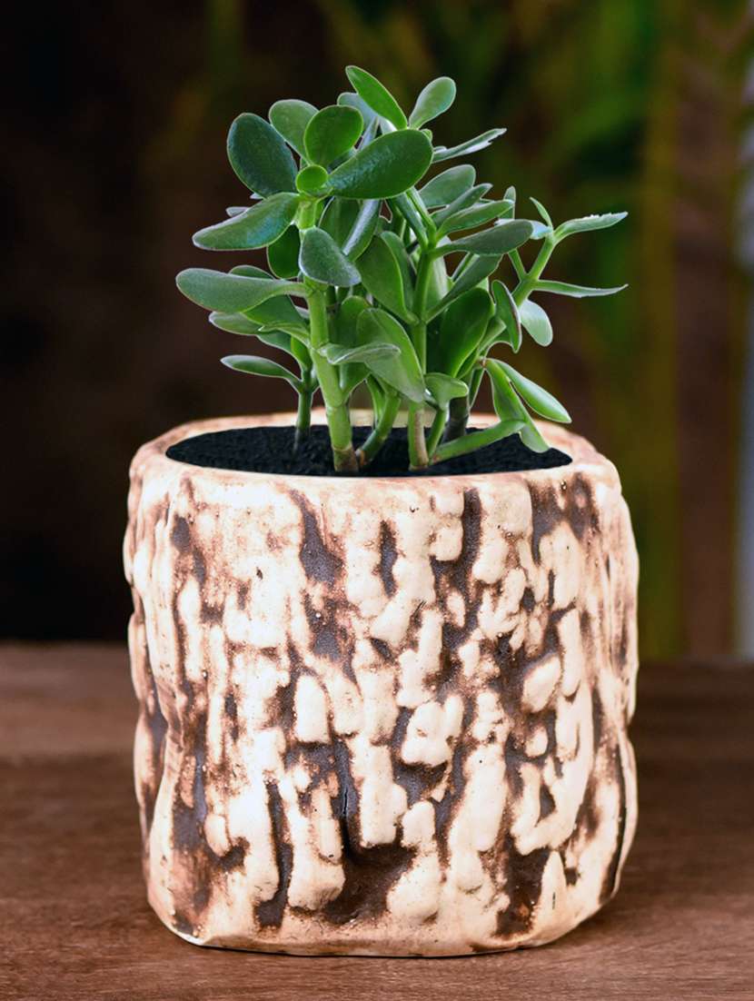 ceramic wooden texture cylindrical table top planter