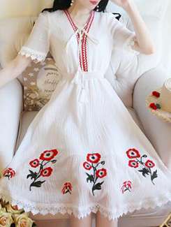 lace detail embroidered flared dress