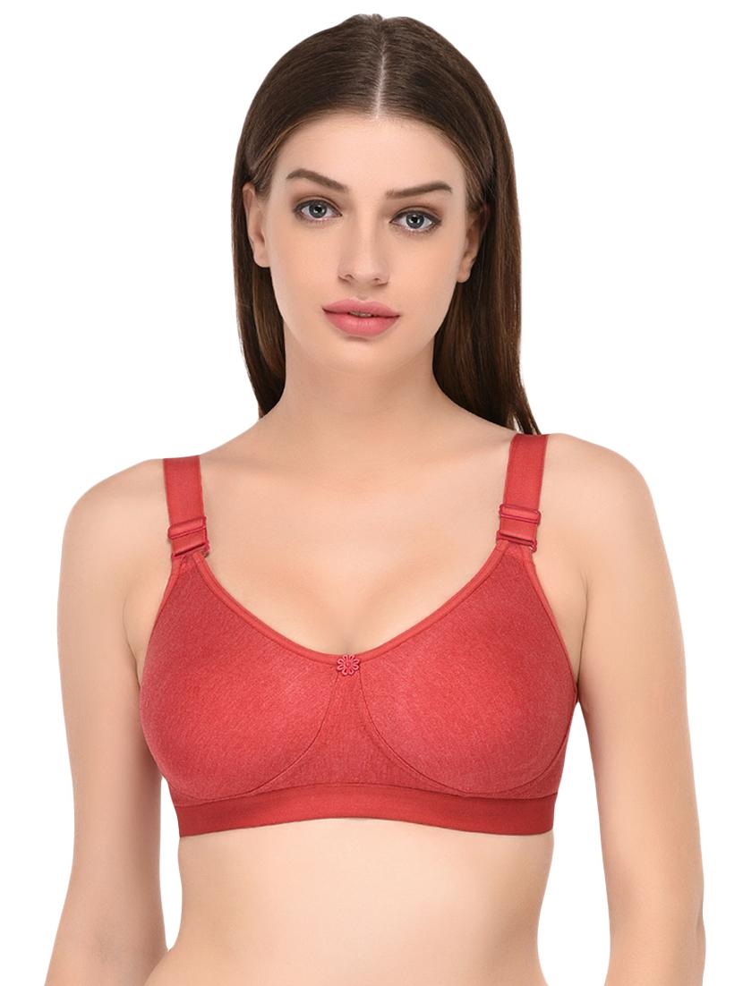 set of 2 solid regular bra - 16482284 - Standard Image - 3