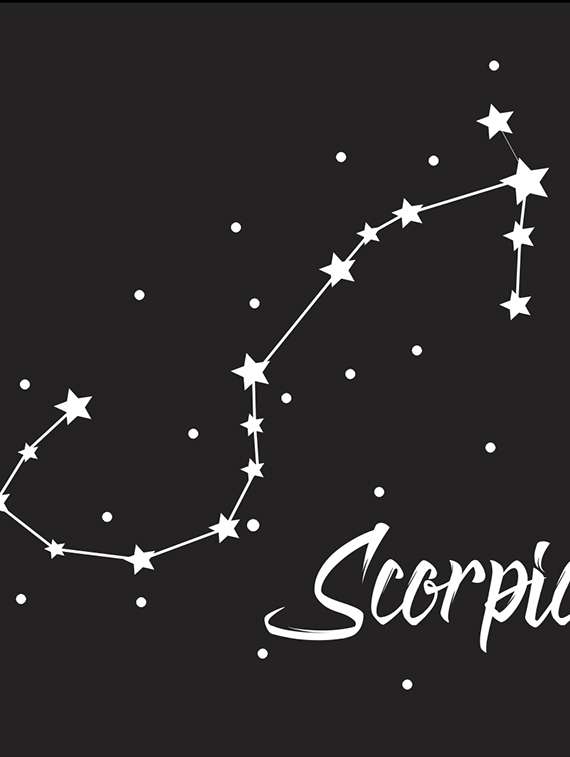 round neck quirky tee  - 16597079 -  Standard Image - 3