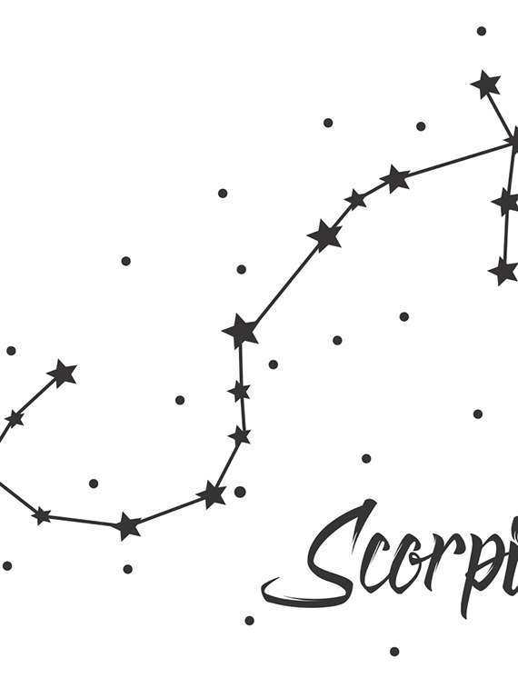 round neck quirky tee  - 16597081 -  Standard Image - 3