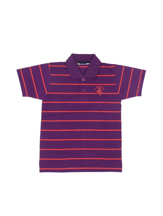 set of 2 t-shirts - 17368644 - Standard Image - 3
