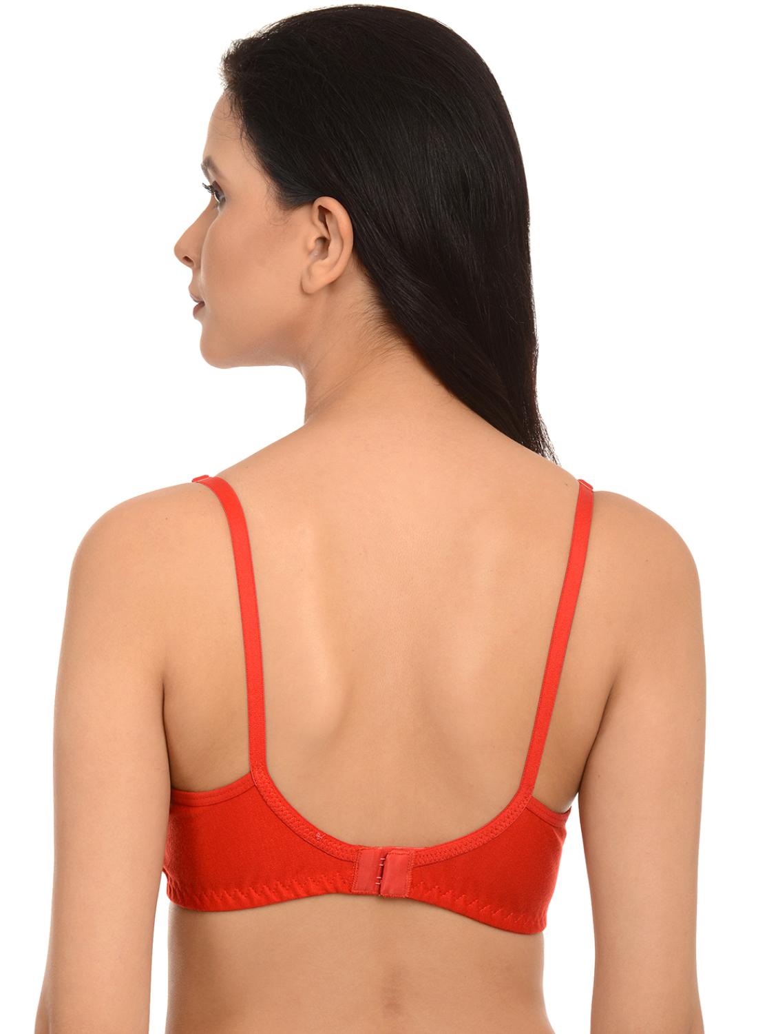 set of 2 bras - 17376358 - Standard Image - 3