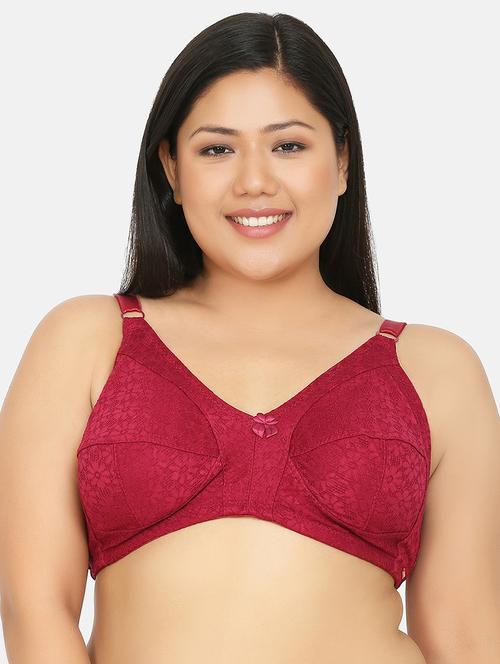 maroon lace plus bra - 17419298 -  Standard Image - 0