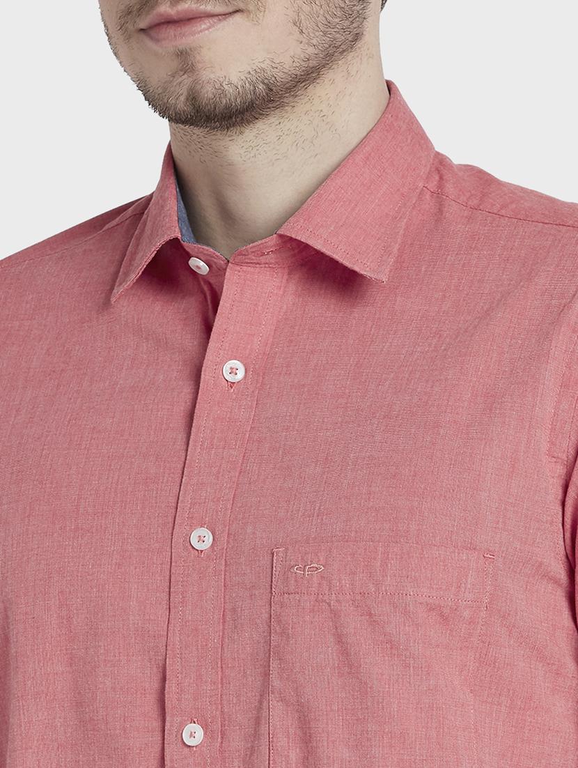 pink solid casual shirt - 17801701 - Standard Image - 5