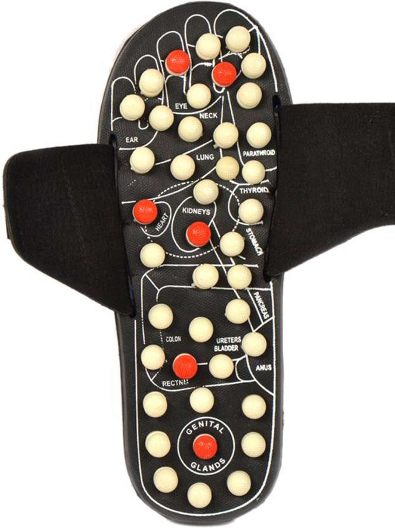 black slippers - 17838596 -  Standard Image - 3