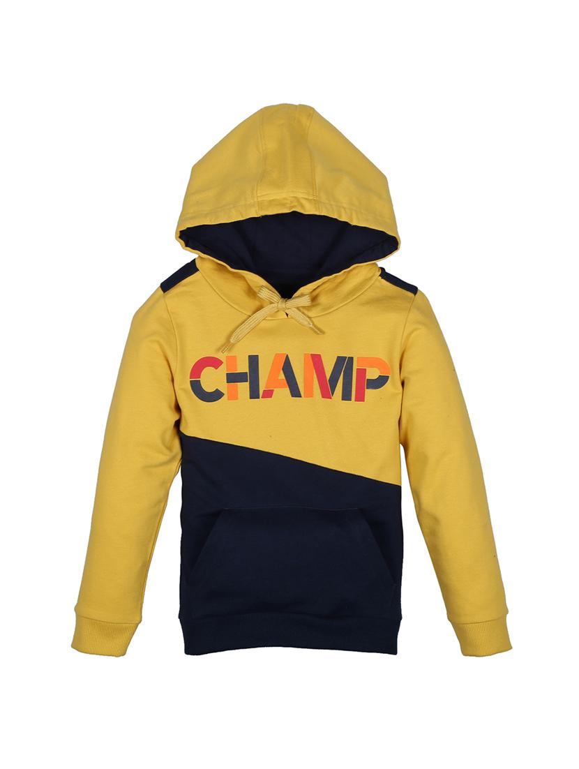 boys color block sweatshirt
