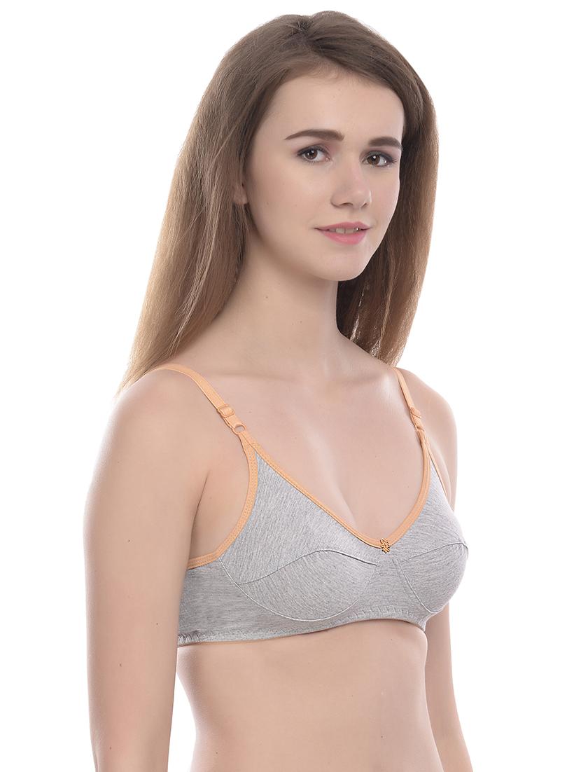 set of 2 regular bra - 18409126 - Standard Image - 5