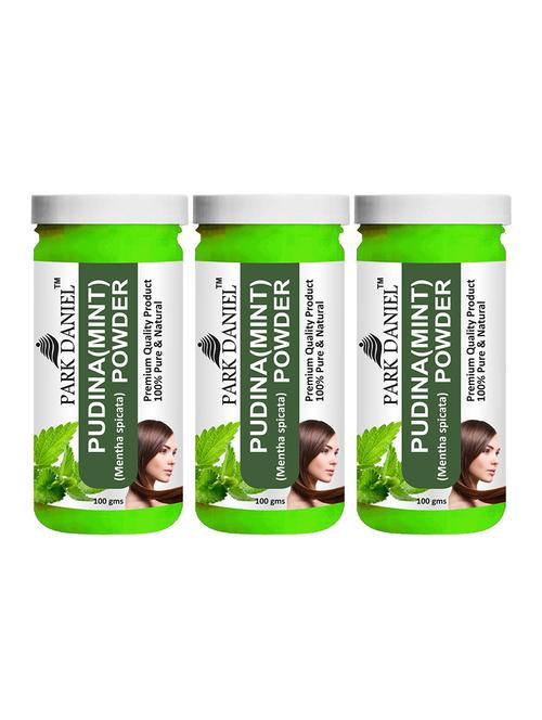 park daniel premium pudina powder combo pack 3 bottles of 100 gms(300 gms) - 18427260 - Standard Image - 0