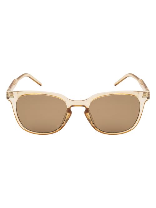 jagger wayfarer in brown sunglasses  - 18462424 -  Standard Image - 0