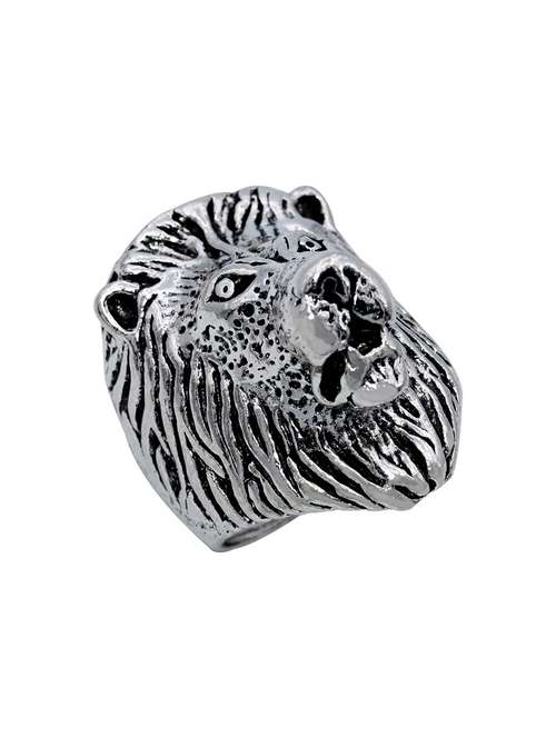 silver pleated ring - 18537075 -  Standard Image - 0