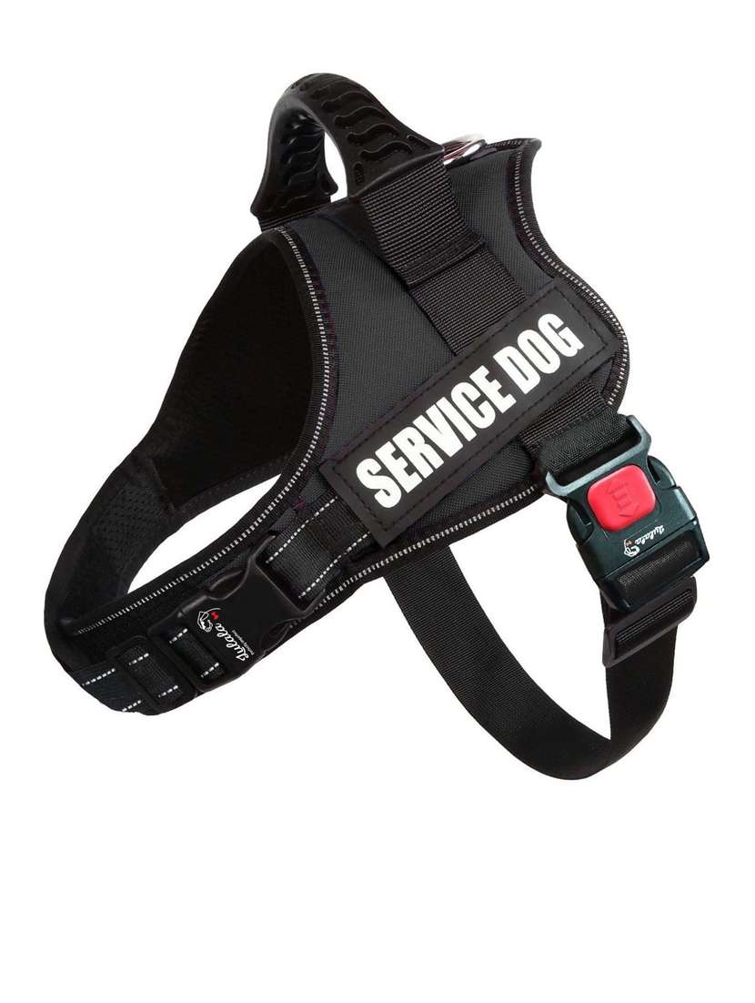 black plastic harnes