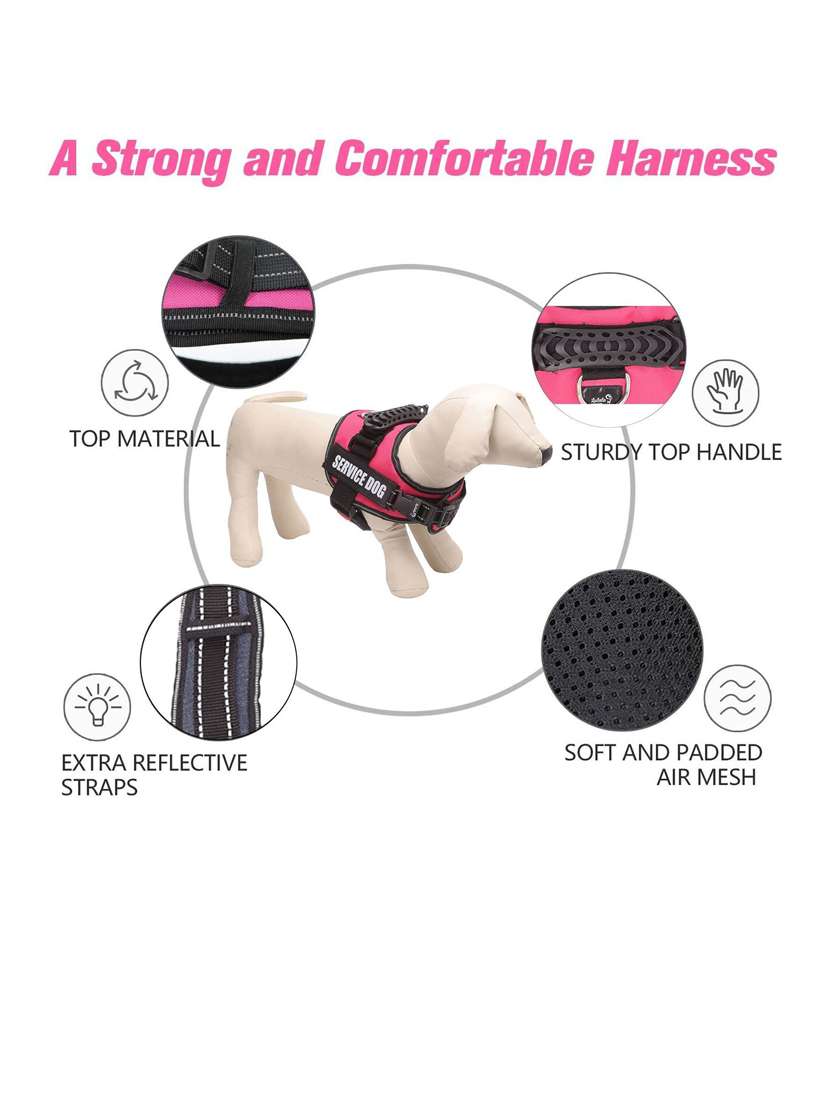 pink plastic harnes - 18692048 -  Standard Image - 3