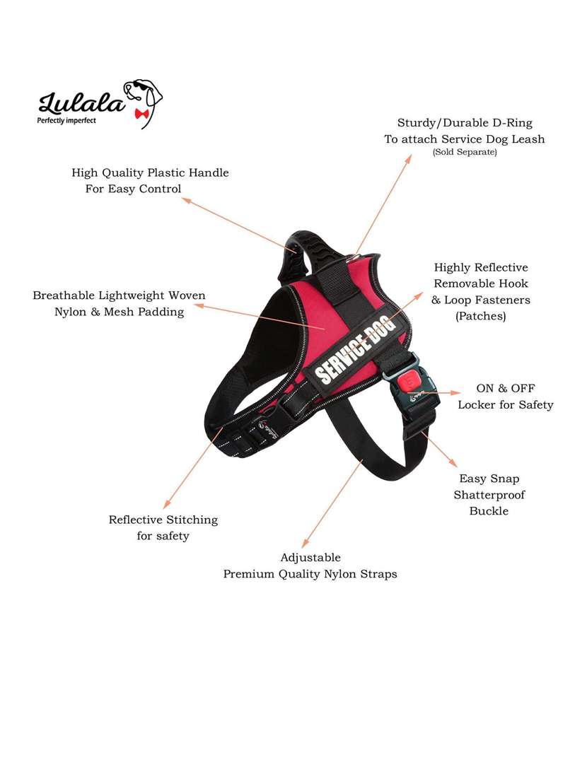 red plastic harnes - 18692049 -  Standard Image - 3