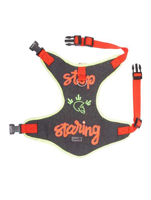 multi colored nylon harnes - 18692051 -  Standard Image - 0