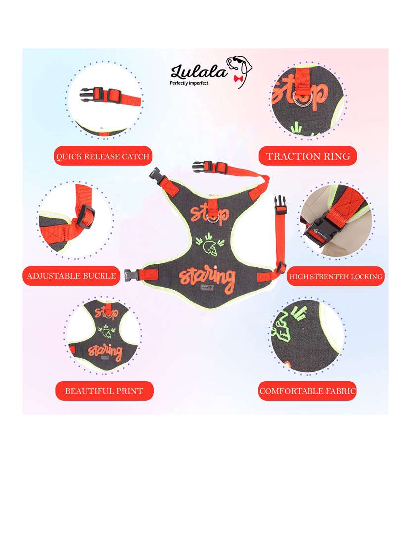 multi colored nylon harnes - 18692051 -  Standard Image - 3