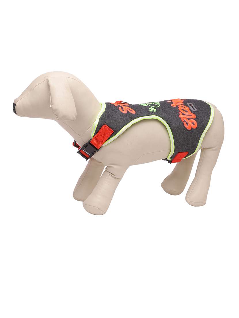 multi colored nylon harnes - 18692051 -  Standard Image - 5