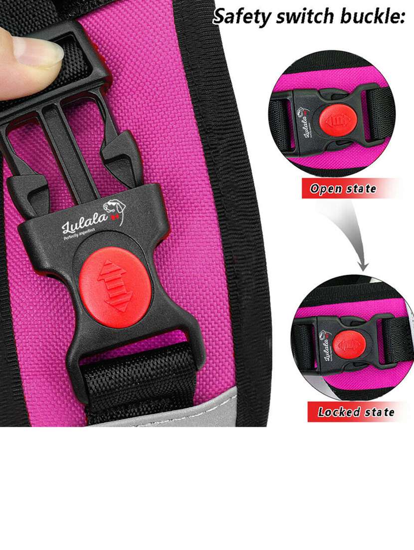 purple nylon harnes - 18692052 -  Standard Image - 3