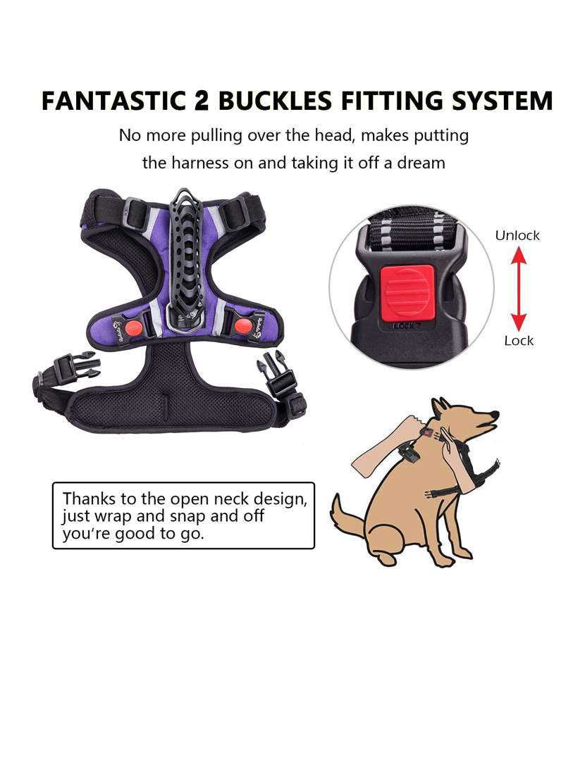 purple nylon harnes - 18692057 -  Standard Image - 3