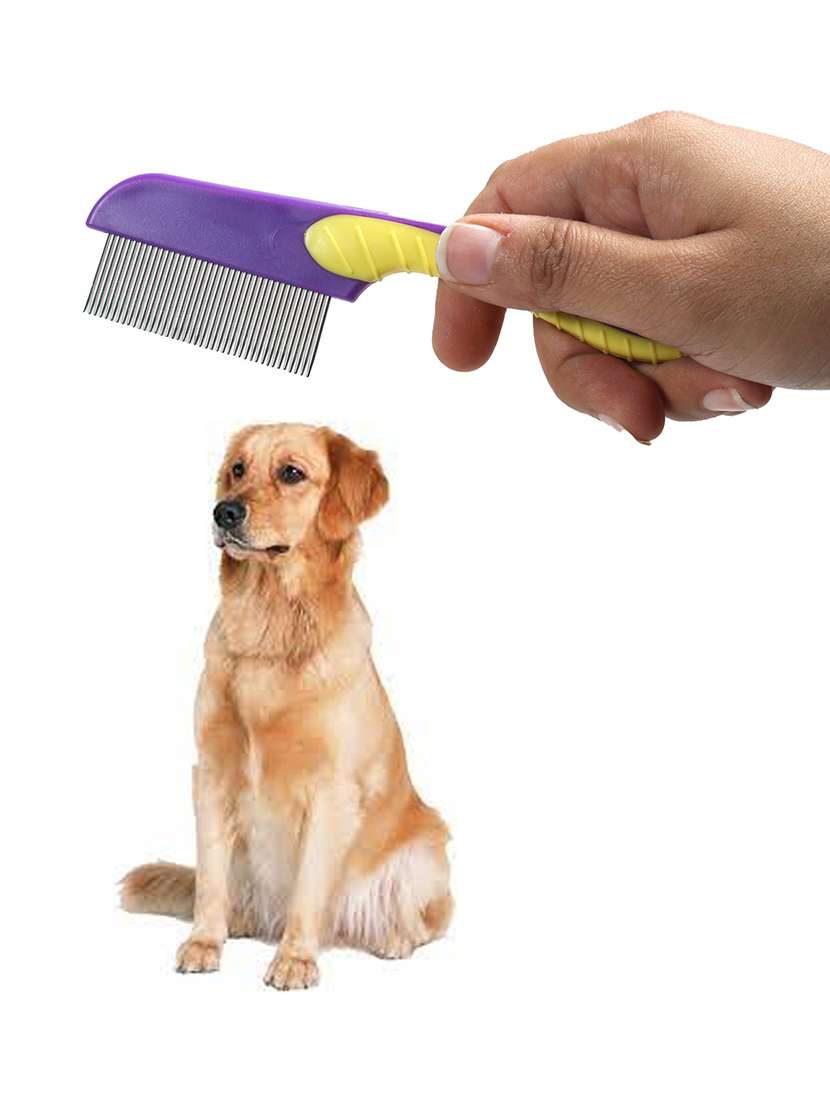 multi colored plastic pet comb brush - 18696944 -  Standard Image - 3
