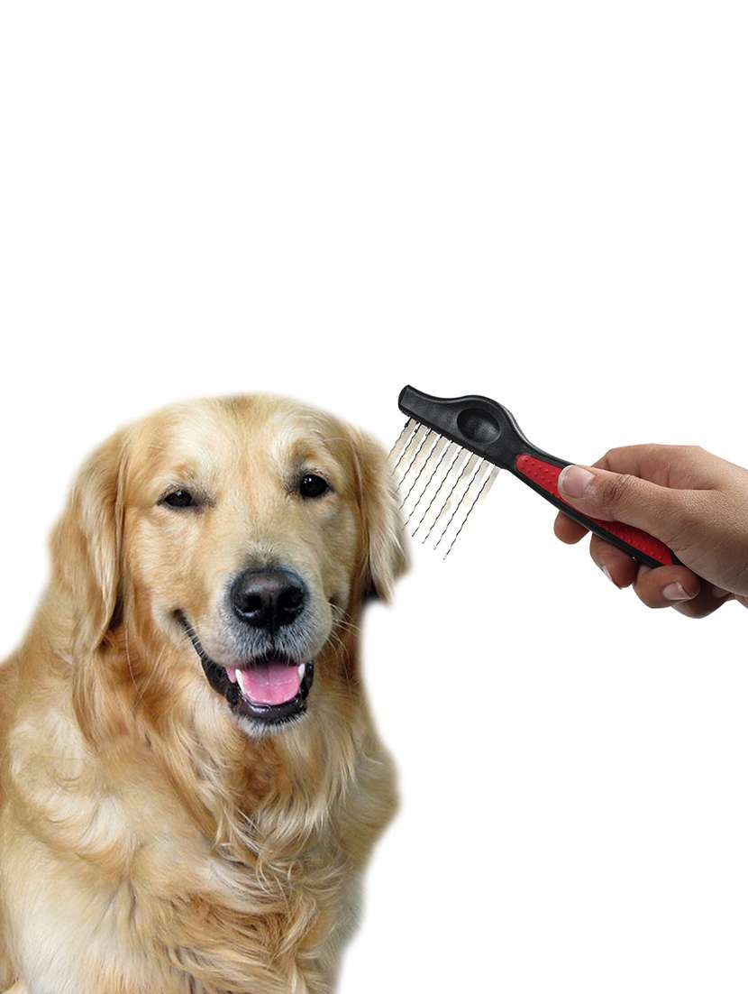 red plastic pet comb brush - 18697036 -  Standard Image - 3