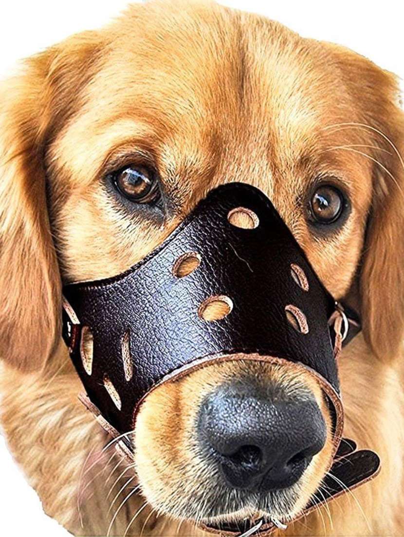 black leather ring pet muzzle