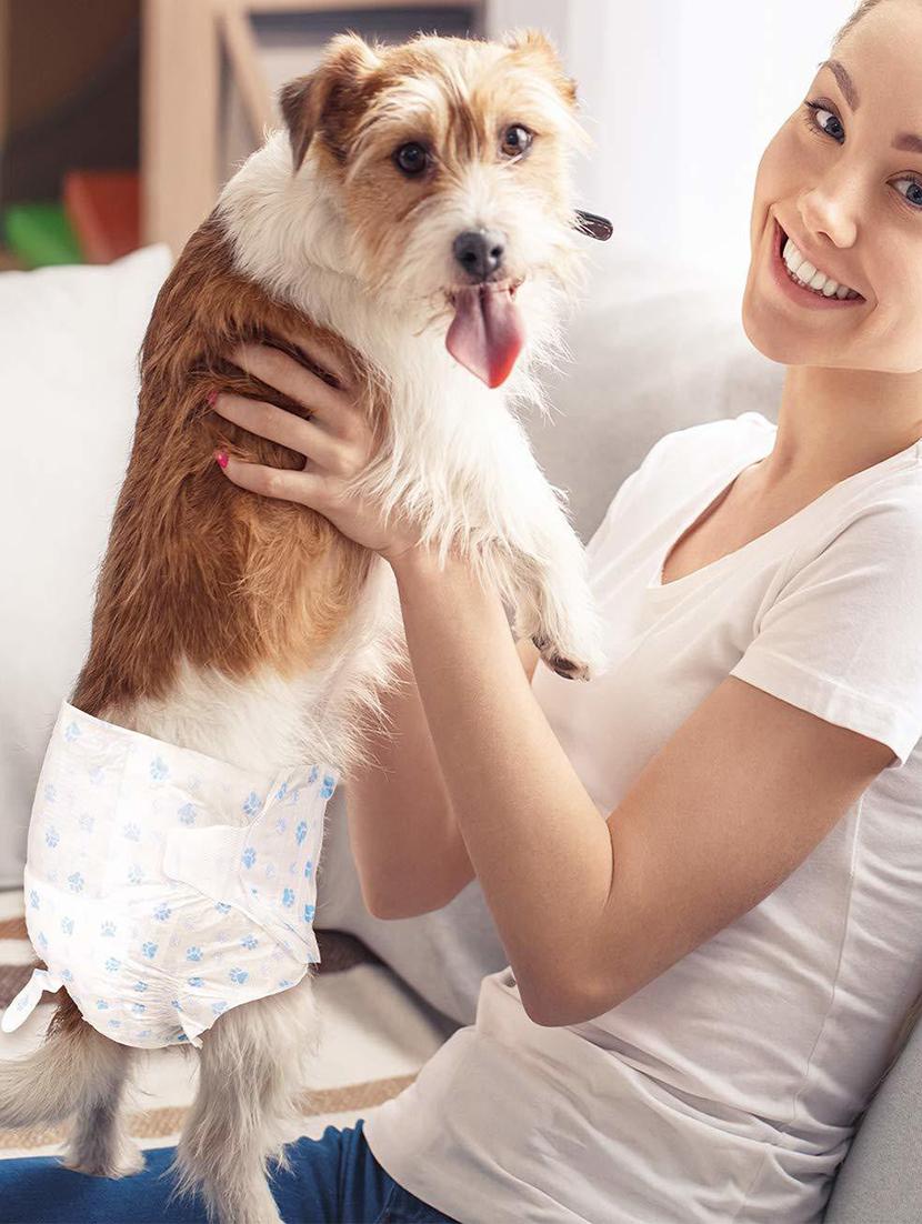 white polypropylene disposable pet diaper - 18748058 - Standard Image - 3