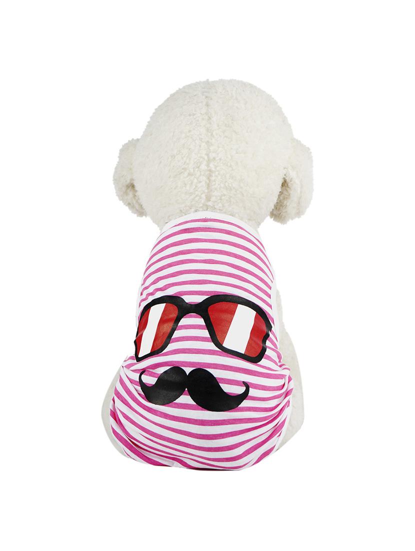 multi colored cotton pet apparel - 18764736 - Standard Image - 3