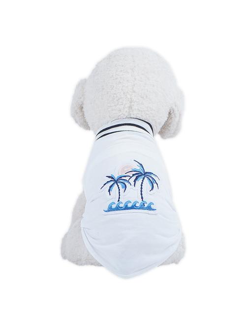 multi colored cotton pet apparel - 18764746 -  Standard Image - 0
