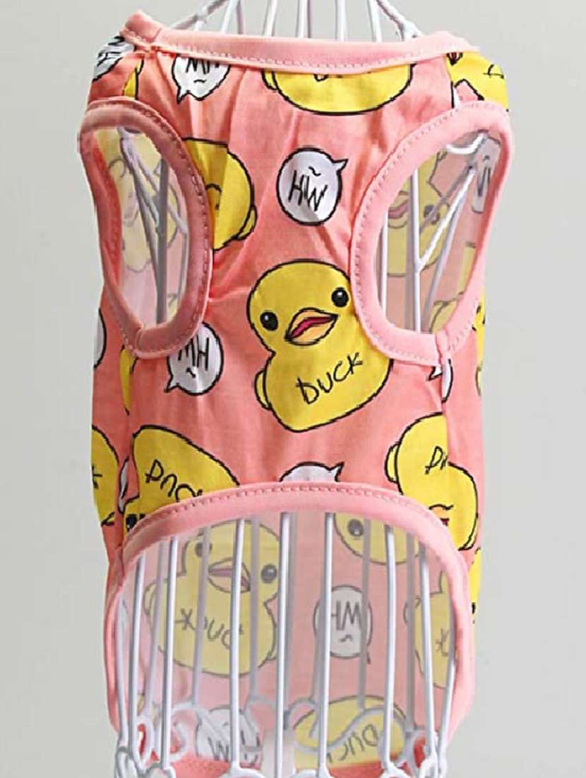 multi colored cotton pet apparel - 18764784 -  Standard Image - 3