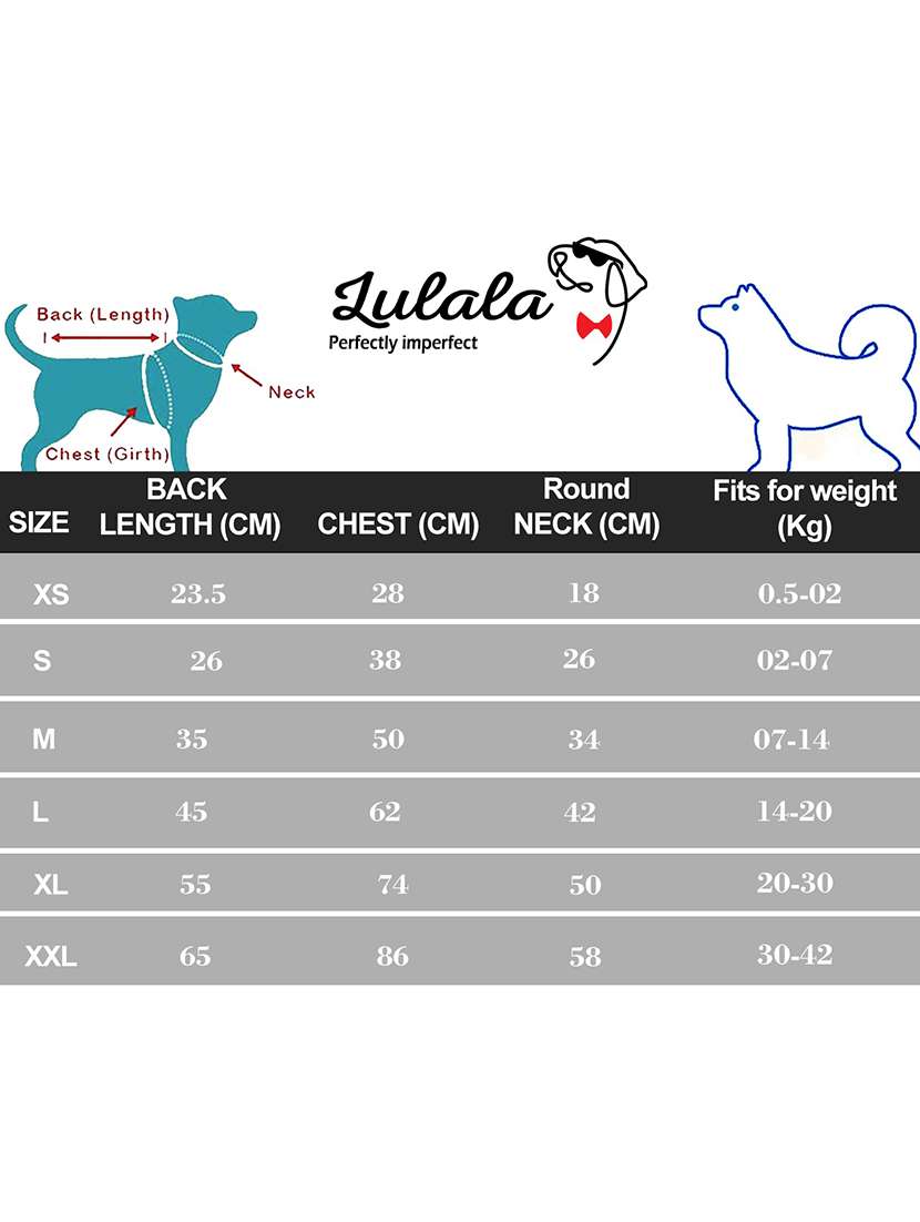 multi colored cotton blend pet apparel - 18765024 -  Standard Image - 3