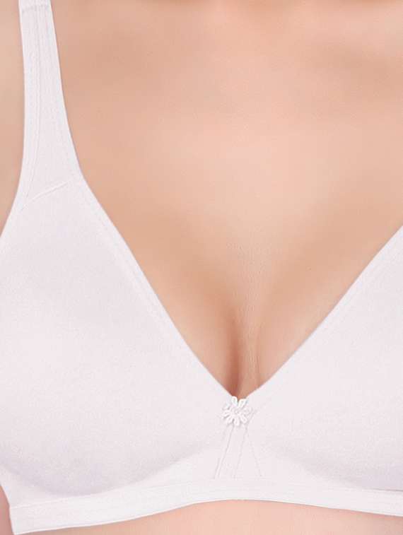 non padded t-shirt bra - 18969273 -  Standard Image - 3