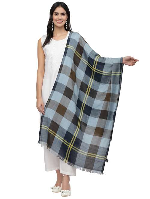 Women Clothing Accessories Stoles