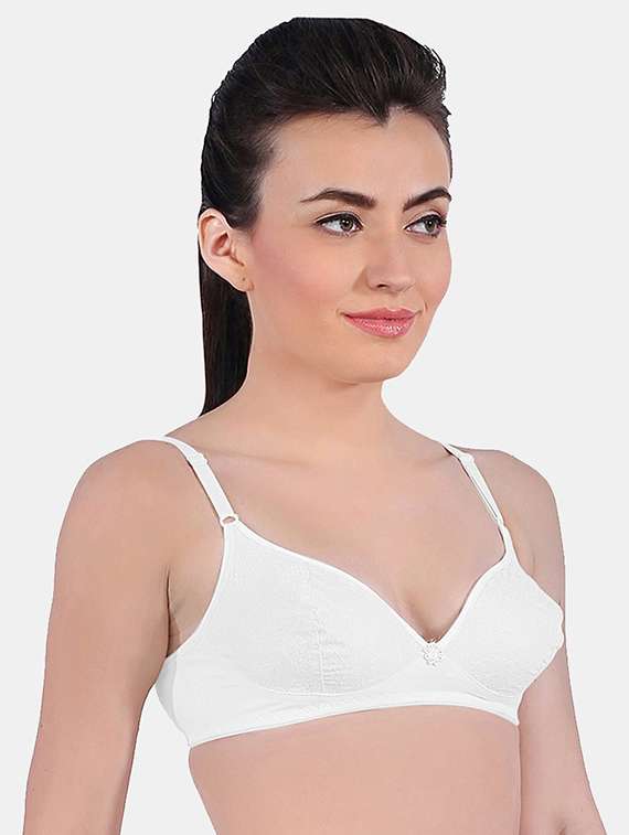 women solid bra combo - 19139927 -  Standard Image - 3