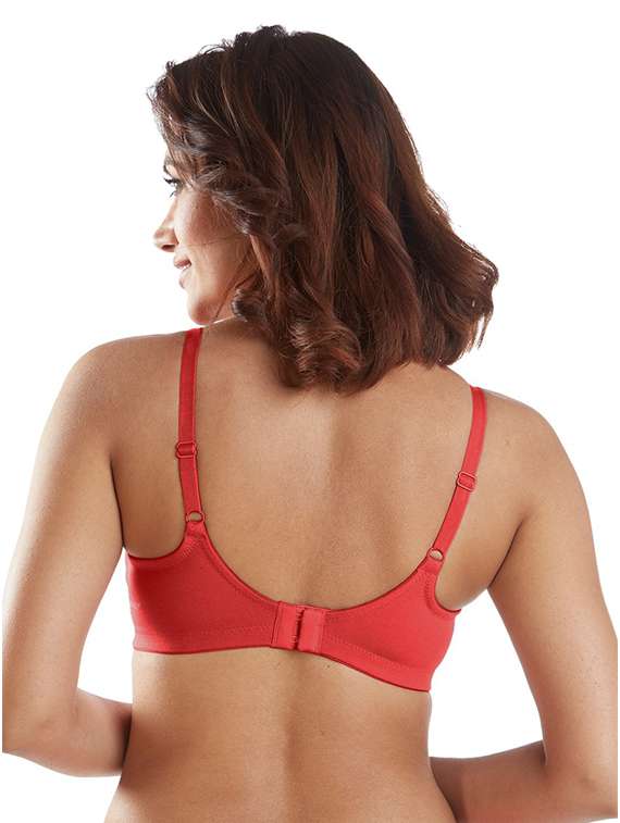 pack of 2 solid regular bra  - 19140024 -  Standard Image - 3