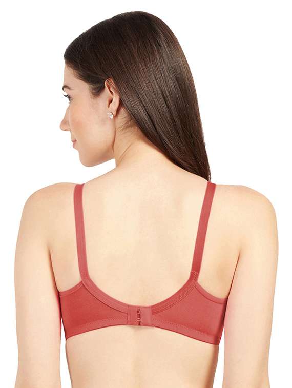 pack of 2 solid regular bra  - 19141028 -  Standard Image - 3