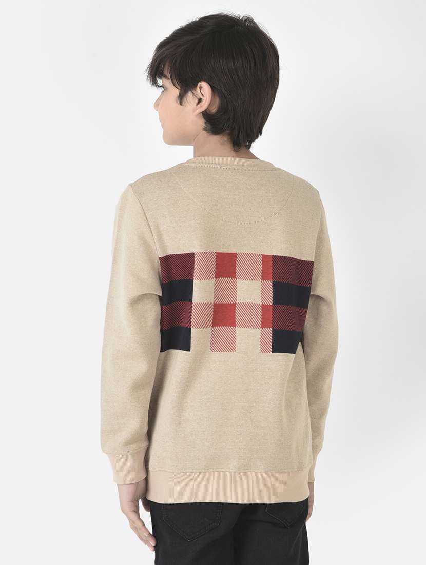 boys checks sweatshirt - 19164653 -  Standard Image - 3