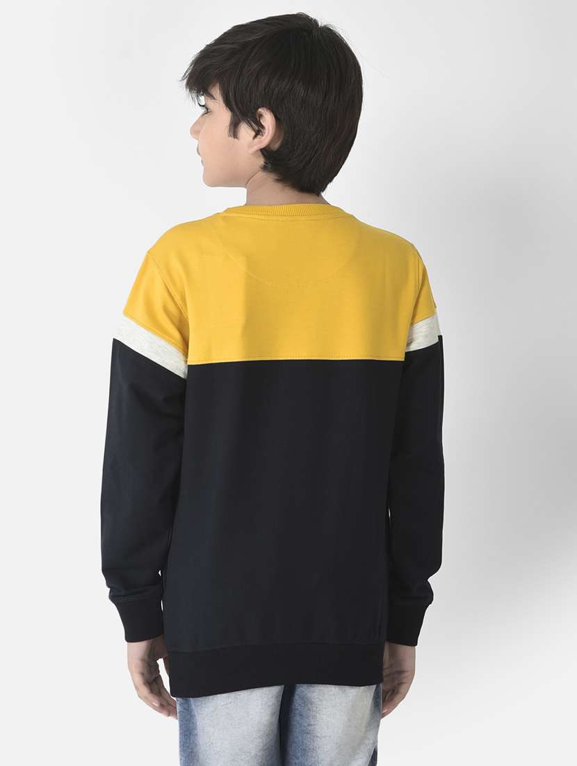 boys color block sweatshirt - 19164669 -  Standard Image - 3
