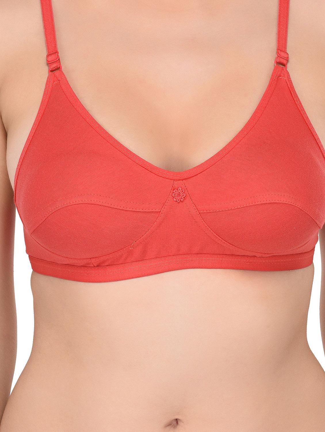 pack of 2 non padded t-shirt bra - 19172276 - Standard Image - 8