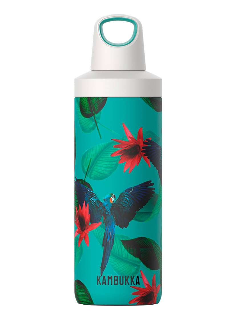kambukka reno parrots stainless steel vacuum insulated water bottle, 500ml