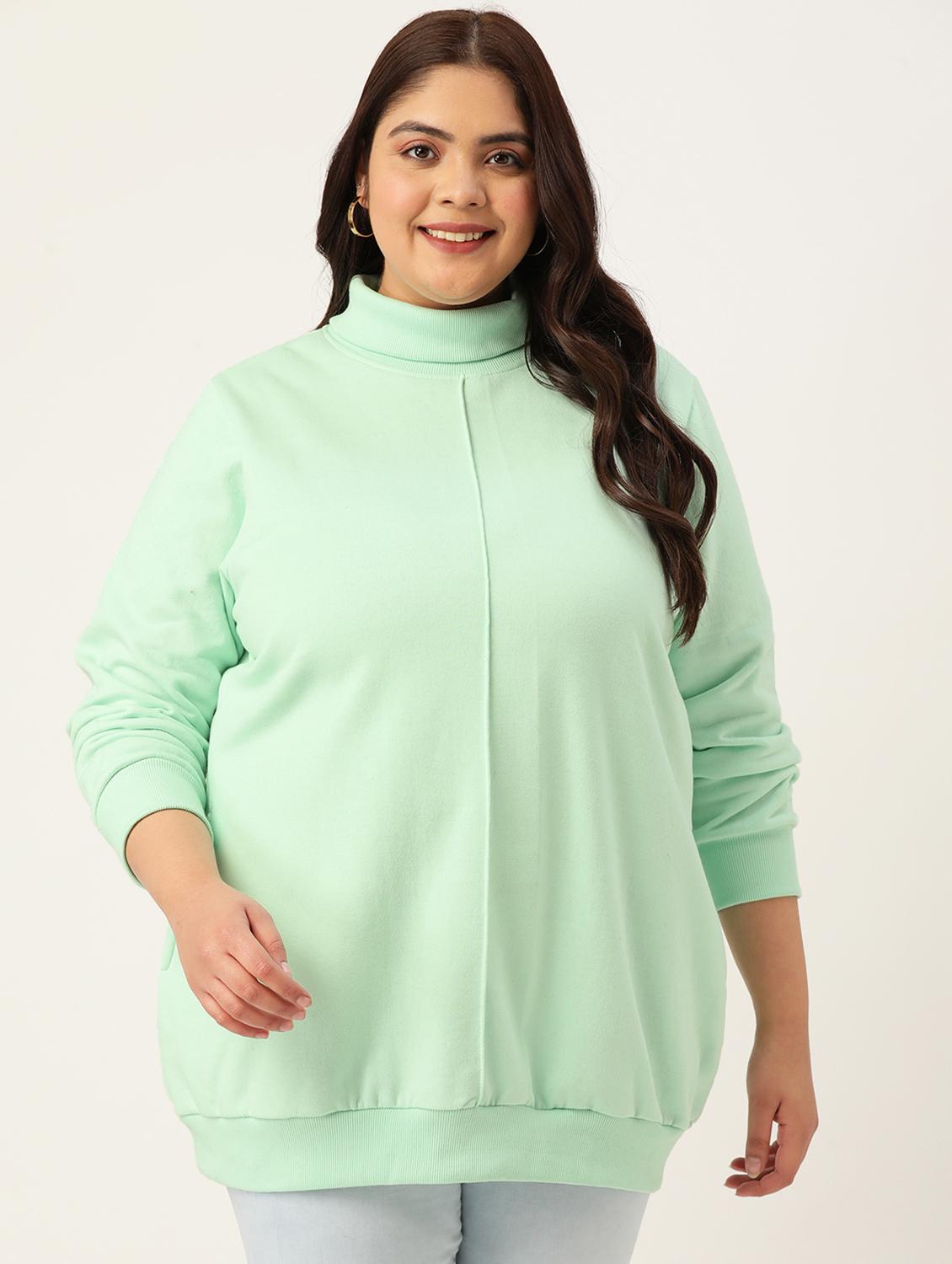 turtle neck solid plus sweatshirt - 19185872 - Zoom Image - 0