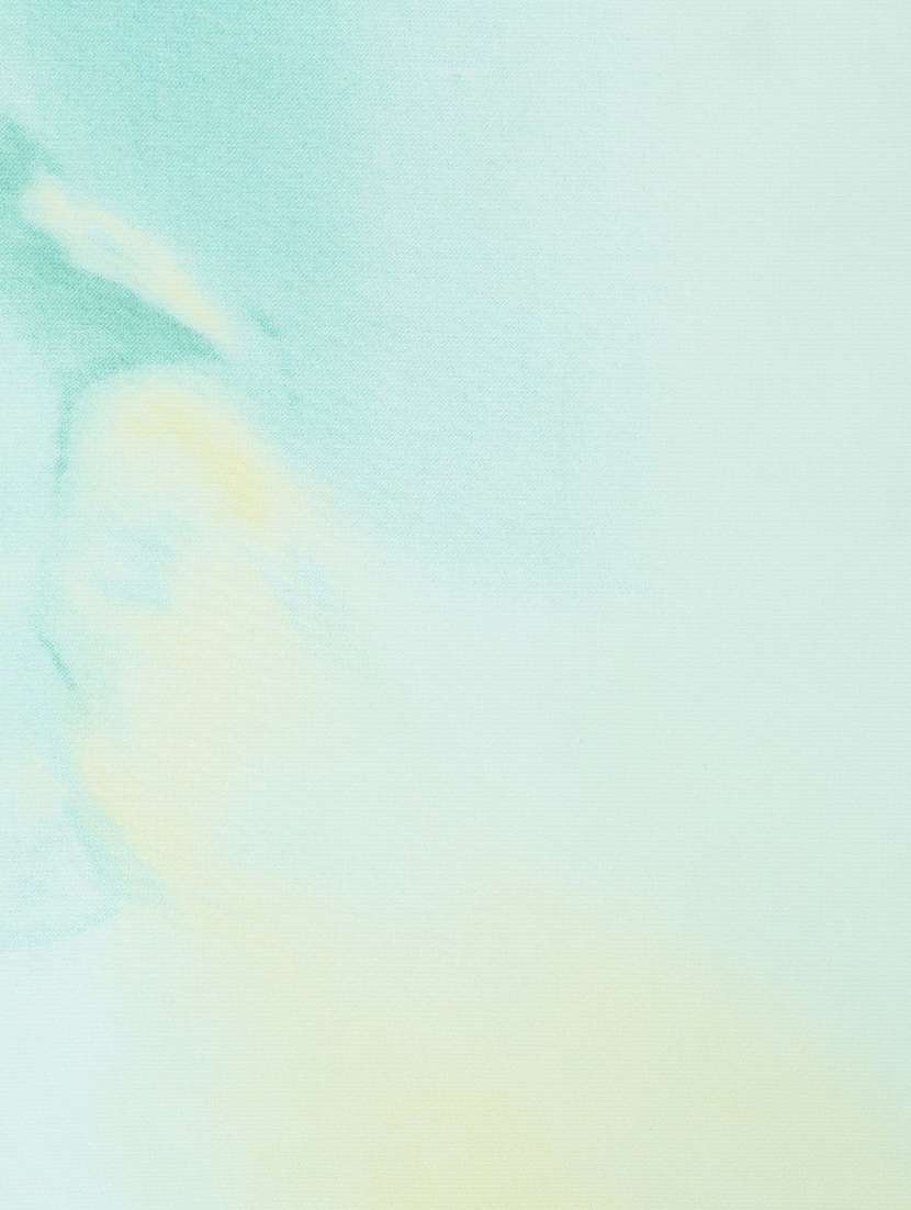 printed saree with blouse - 19199269 -  Standard Image - 5