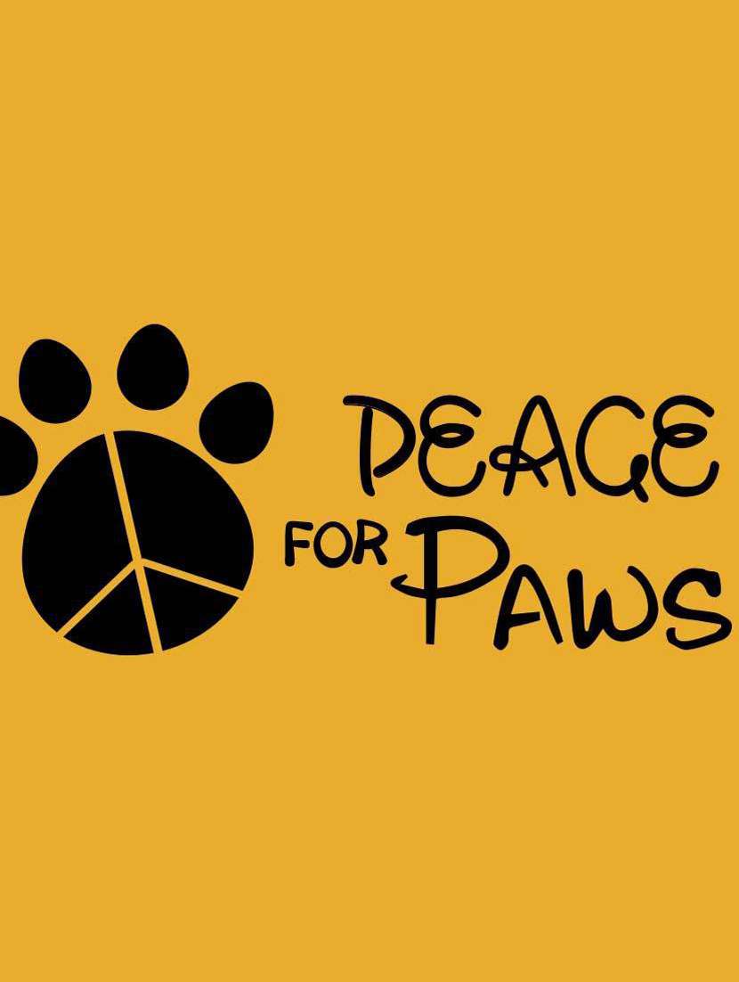  cotton regular t-shirt - 19353333 -  Standard Image - 3