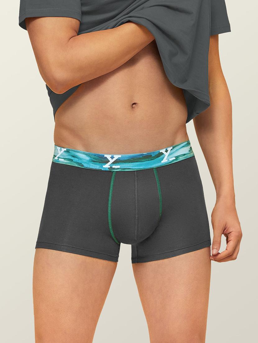 grey solid trunks  - 19411245 -  Zoom Image - 0