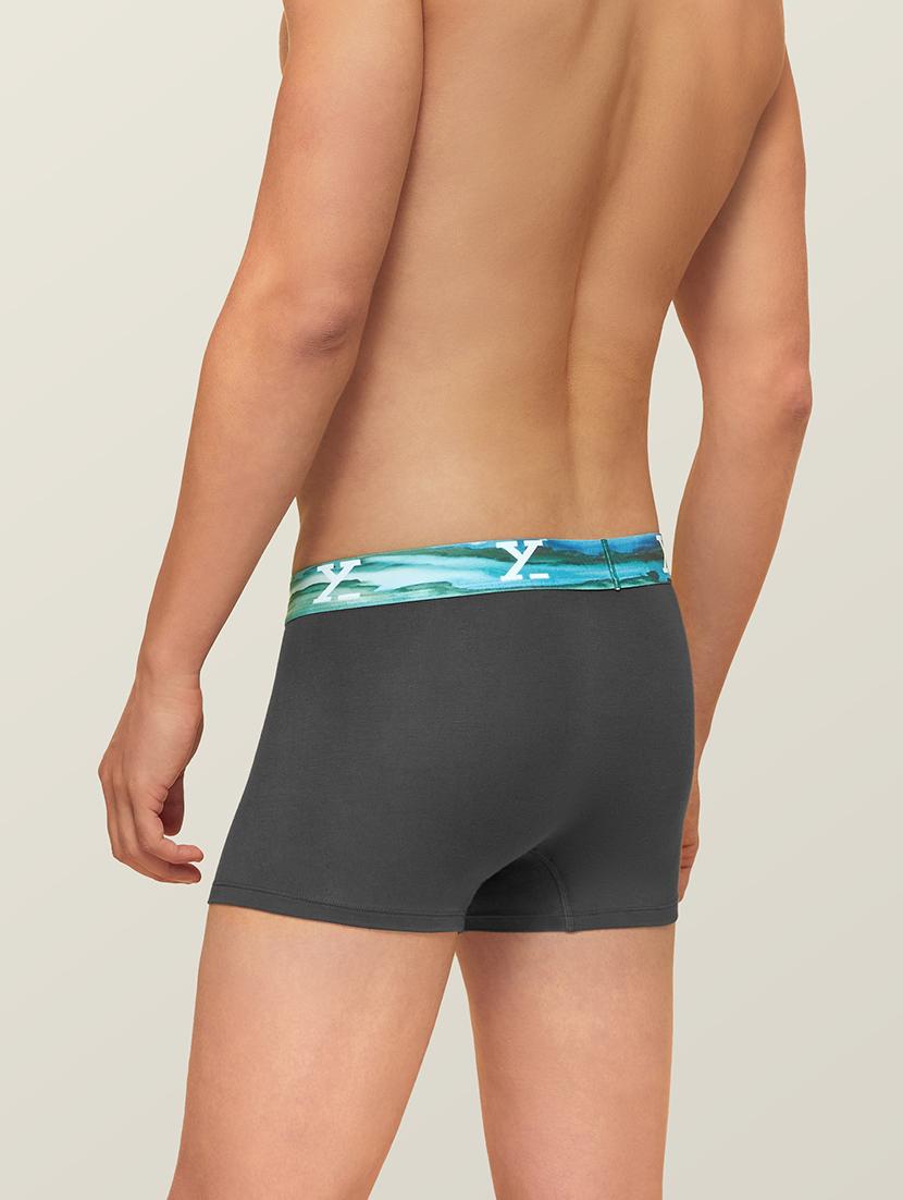 pack of 2 solid trunks - 19411252 - Standard Image - 3