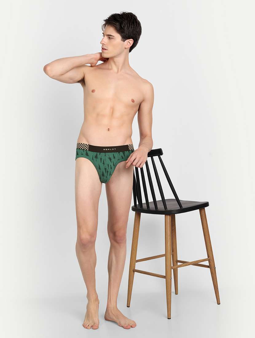 pack of 2 hipster brief - 19496876 -  Standard Image - 3